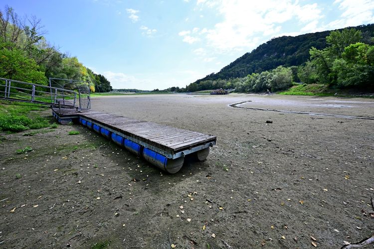 Ein trockengelegter Anlegesteg an der Donau bei Greifenstein, umgeben von ausgetrocknetem Flussbett und spärlicher Vegetation. Im Hintergrund sind Bäume und eine Hügelkette zu sehen.