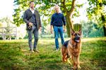 So entwickelten sich die TV-Quoten im April in Österreich