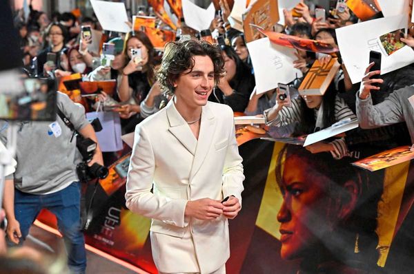 Timoth-e-Chalamet-und-seine-sehr-guten-Doppelg-nger