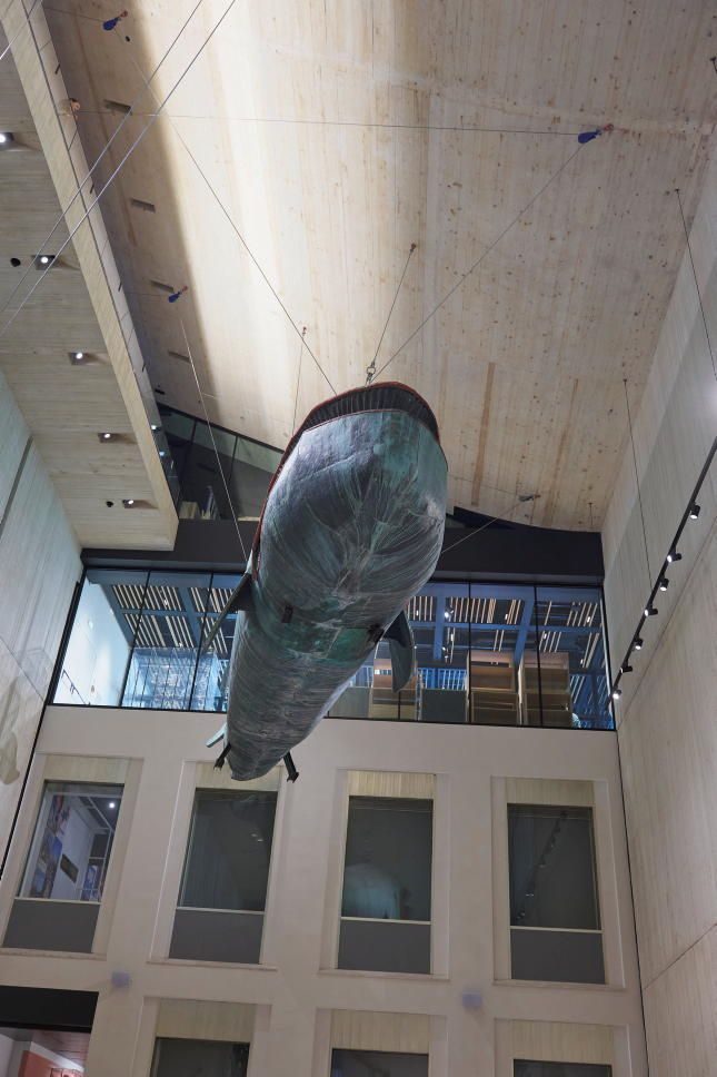 Walfisch hängt in einer Halle in der Luft auf Stahlseilen