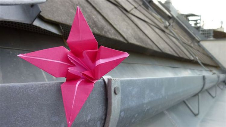 Ansichtssache: Die Welt ist #graugenug - Lifestyle - derStandard.at