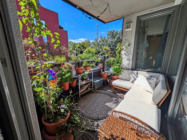 600-Euro-35-Pflanzen-ein-Plan-Unser-Weg-zur-Balkon-Oase
