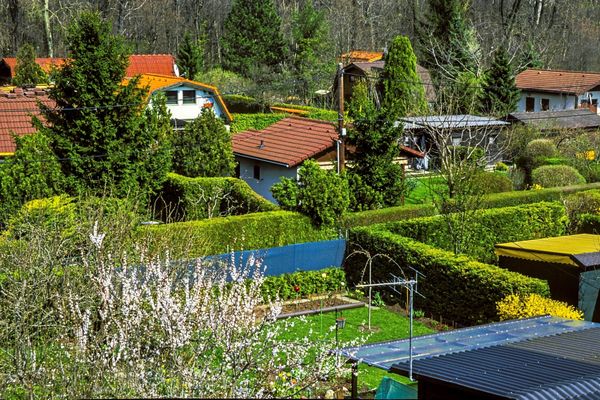 Mini-Wald-und-Nistkasten-Artenvielfalt-auf-jedem-gr-nen-Fleck-f-rdern