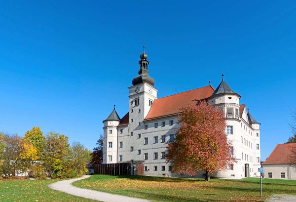 menschliche-asche-bei-fr-herer-ns-anstalt-hartheim-entdeckt