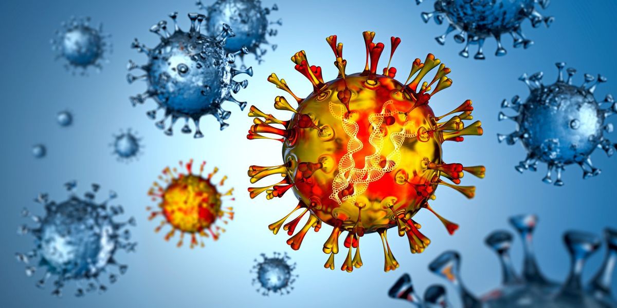 Wie Corona das Immunsystem langfristig beeinflusst