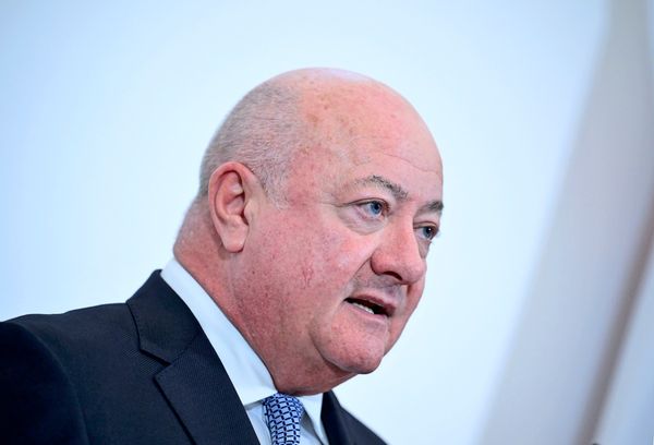 Hundert-Tage-strahlen-mit-Kanzler-Stocker-im-Blattsalat-