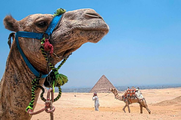 Eine der günstigsten Destinationen für eine Pauschalreise in den Osterferien: Ägypten