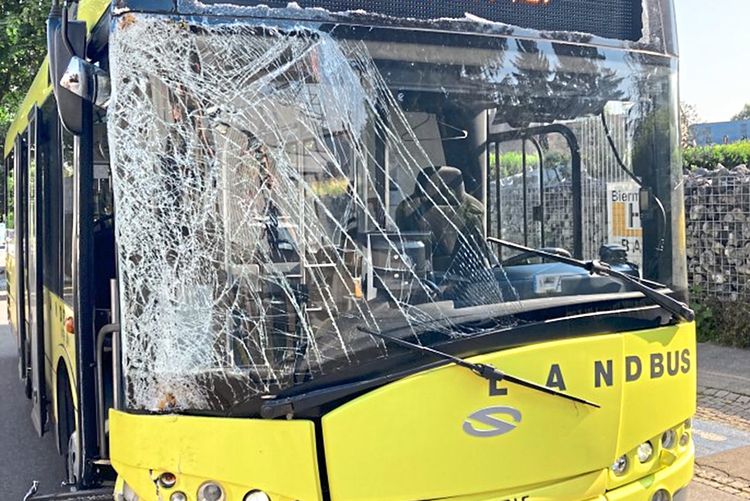 Linienbus mit Schulklasse fuhr in Vorarlberg gegen einen Baum – neun Kinder verletzt