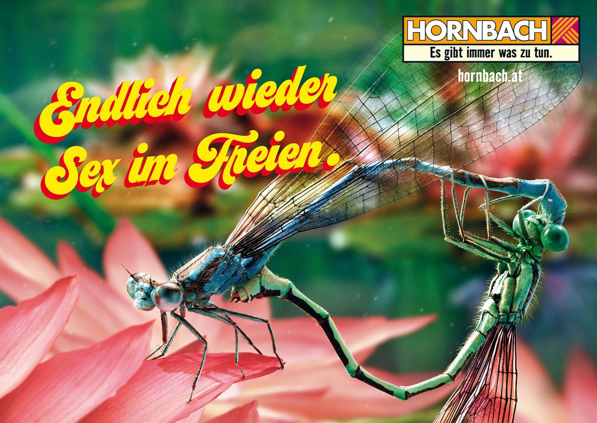 Hornbach Hat Endlich Wieder Sex Im Garten Etat Derstandardde › Kultur 9204