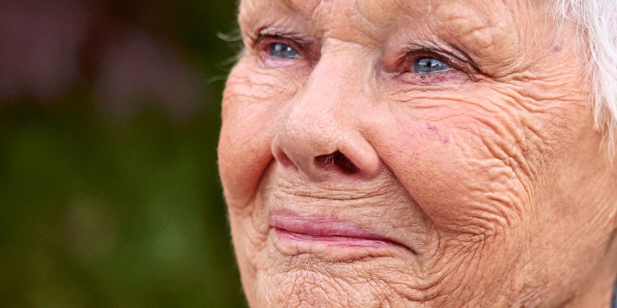 In a magnificent book, Judi Dench talks about Shakespeare ...
