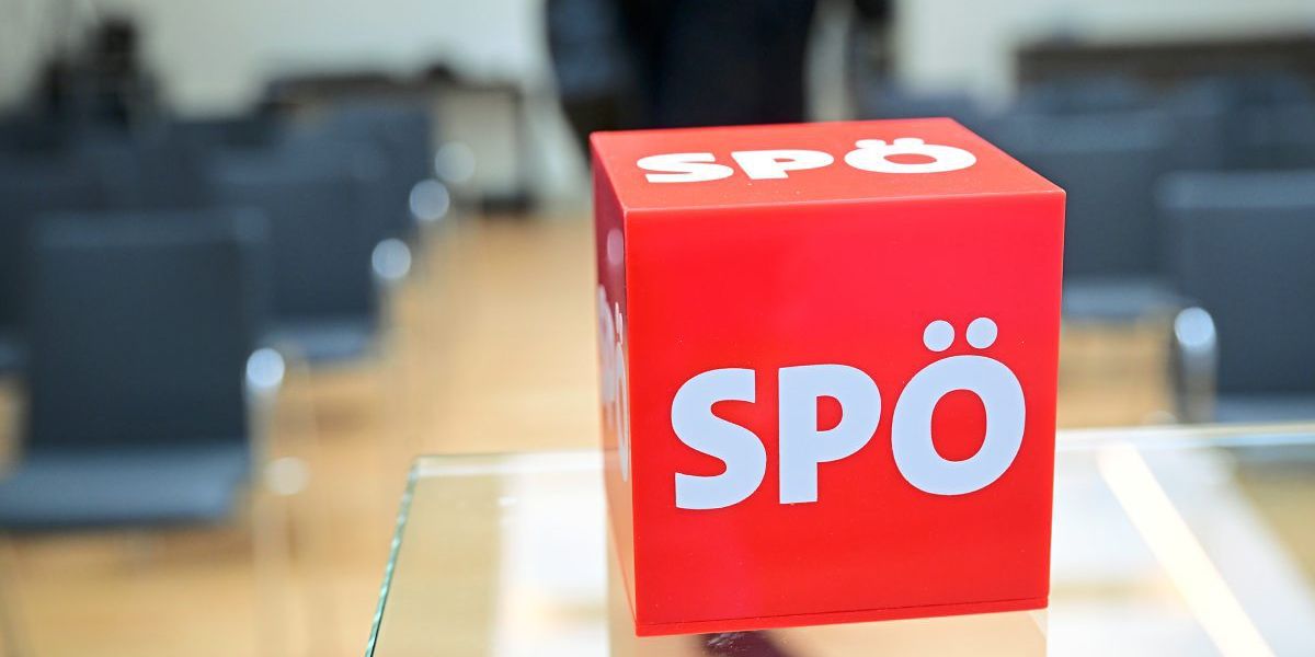 Was man über die rote Vorsitzwahl wissen muss - SPÖ - derStandard.at ...