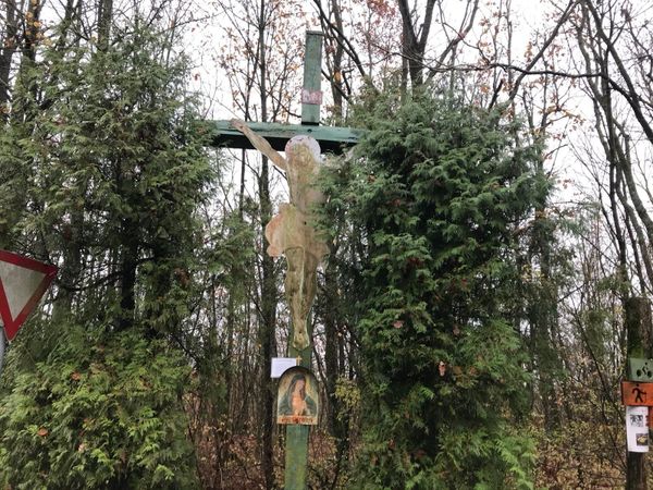 Vergessenes-Terror-Depot-Die-Spur-in-den-Wald-von-Hollabrunn