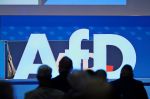 AfD will bei Wahlsieg in Sachsen-Anhalt dutzende missliebige Beamte loswerden 1400a60f b7e1 421c ad86 840964b03016
