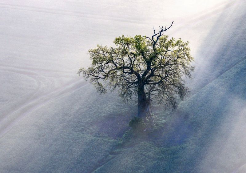 Antonio Fian: Der Geist im Nebel