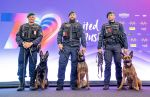 Sicherheit rund um den ESC: Mehrere hundert Beamte täglich im Einsatz