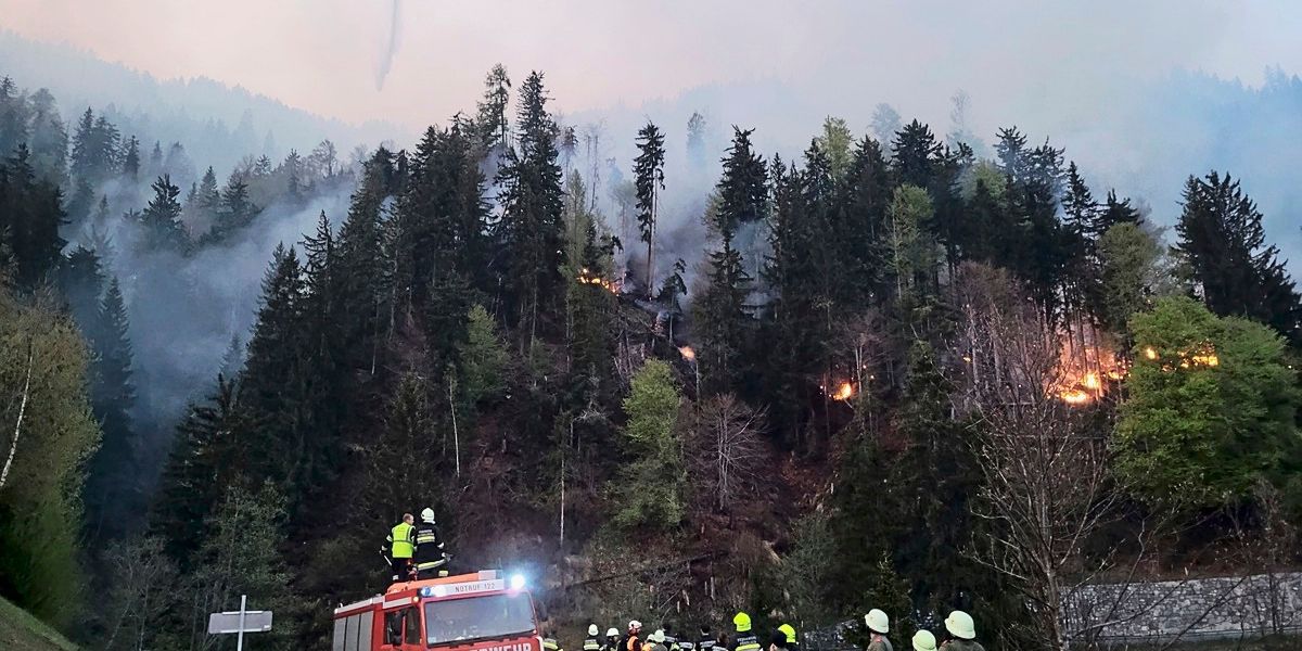 Waldbrandforscher: "Wir steuern auf ein außergewöhnliches Waldbrandjahr zu"