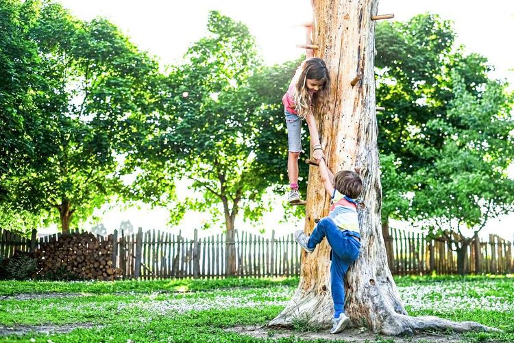 Mädchen hilft Buben beim Klettern auf einen Baum