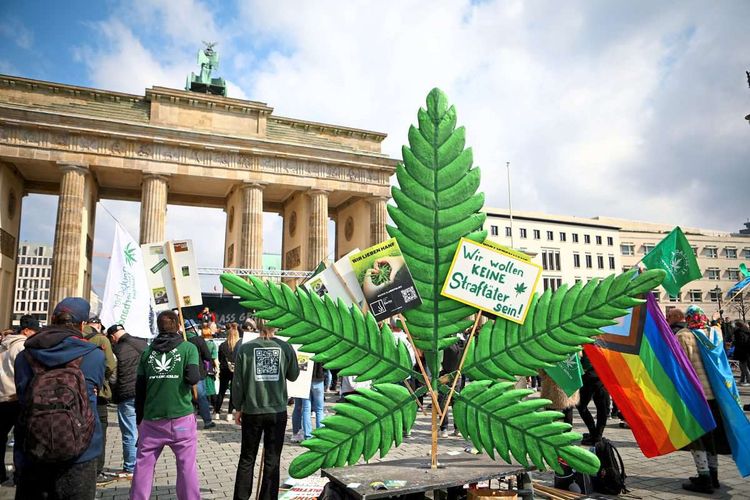 Cannabisblatt vor Brandenburger Tor.