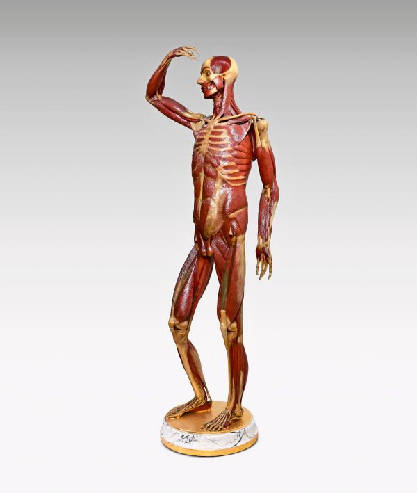 Von-Anatomie-bis-Universum-Die-besten-Wissenschaftsb-cher-f-rs-Osternest