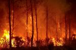 Vor neuer Hitzewelle: Waldbrände in Südeuropa bleiben Herausforderung 515b33f7 771f 498f b32a 4044bcf6443c