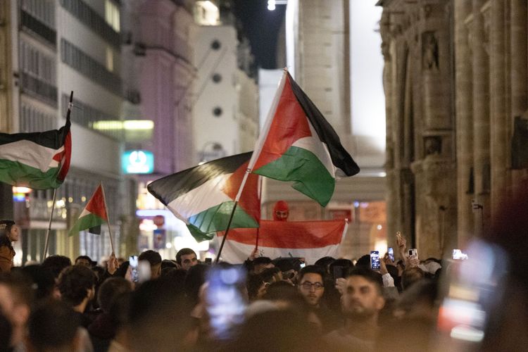 Menschenmenge, Palästina-Flaggen