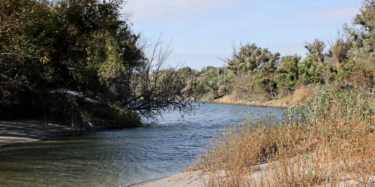 What will happen if the Danube is allowed to flow unregulated again