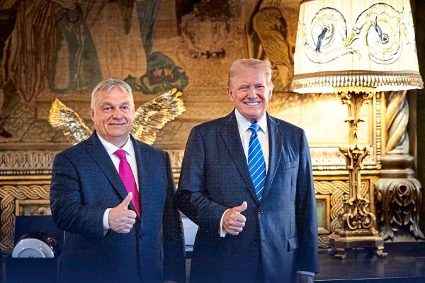 Die-Welt-als-Schrebergarten-der-Nationalisten-