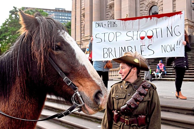Ein Protestschild Links im Bild ein Pferd mit Reiterin, dahinter ein Schild mit der Aufschrift 