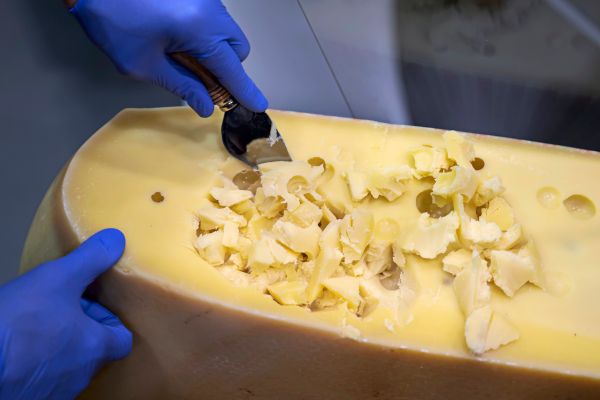 Milch-zu-sauber-Schweizer-m-ssen-L-cher-im-Emmentaler-mit-Pulver-retten