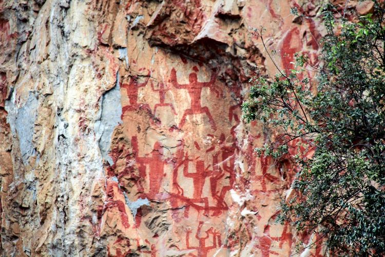 Felswand mit roten prähistorischen Felsmalereien, die menschliche Figuren in unterschiedlichen Posen darstellen. Ein Baum mit grünen Blättern ragt in den rechten Teil des Bildes hinein.