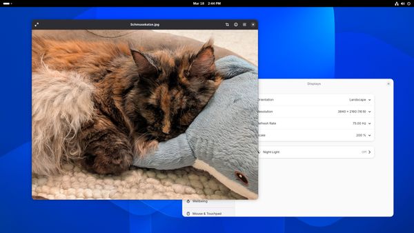 GNOME-50-Der-Linux-Desktop-marschiert-in-die-Zukunft