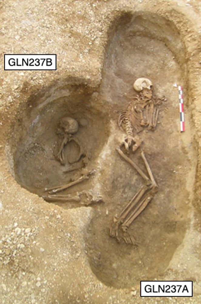 Zwei prähistorische Skelette, die in Frankreich ausgegraben wurden