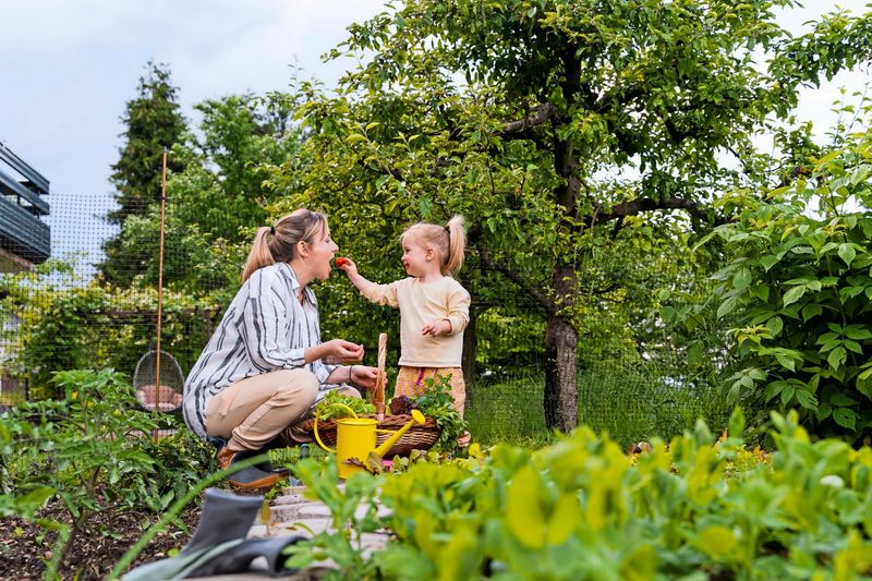 Mütter beeinflussen das Gewicht ihrer Kinder über Gene hinaus