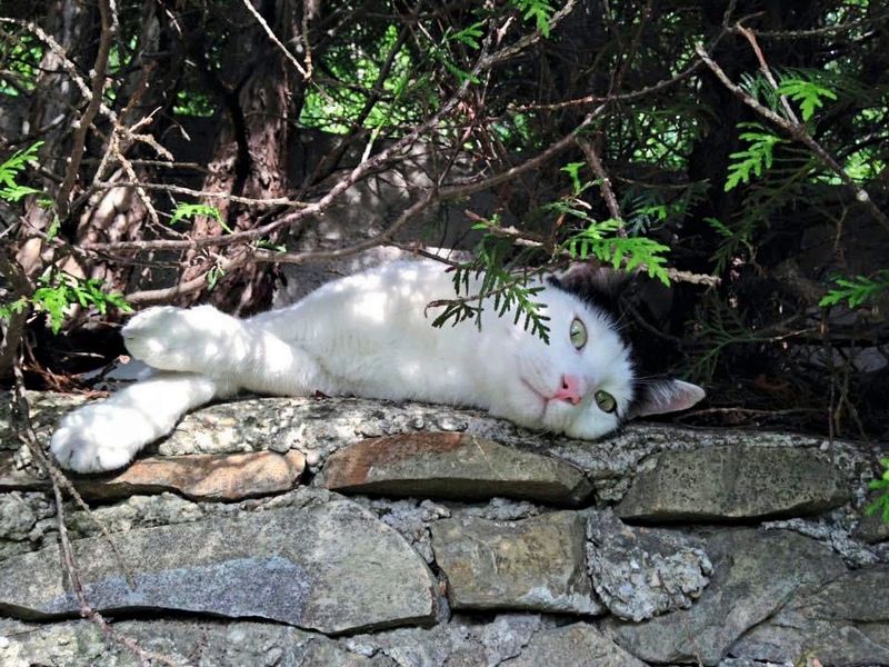 Wetter weiter unbeständig, dafür bereits zwölf Grad plus