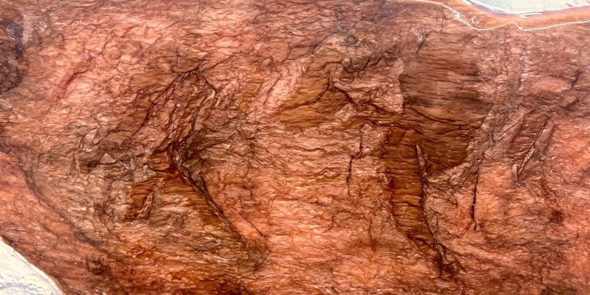 pflanztopf rechteckig kunststoff Premium Fiberglas Blumenksten mit Rollen online kaufen  modern, leicht &  wetterfest