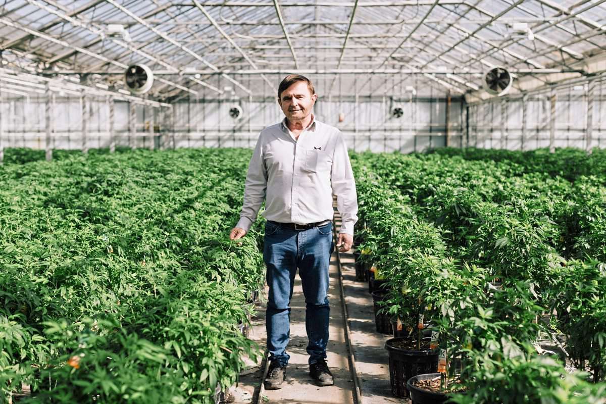HanfamaGründer "Österreich könnte mit Cannabis das Pensionssystem