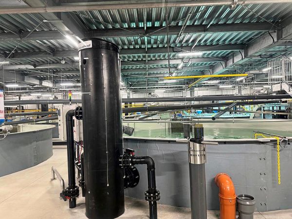 Was-wurde-eigentlich-aus-der-Lachsfarm-im-Waldviertel-