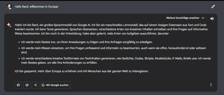 Eine Unterhaltung mit der KI Bard