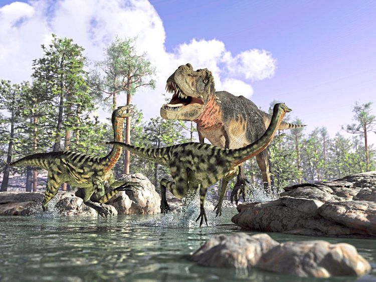Fotorealistische Rekonstruktion eines Tyrannosaurus rex, der auf zwei andere Saurier in seichtem Wasser zurennt.