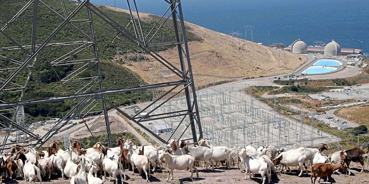In Kalifornien wird zum ersten Mal KI in einem Kernkraftwerk eingesetzt