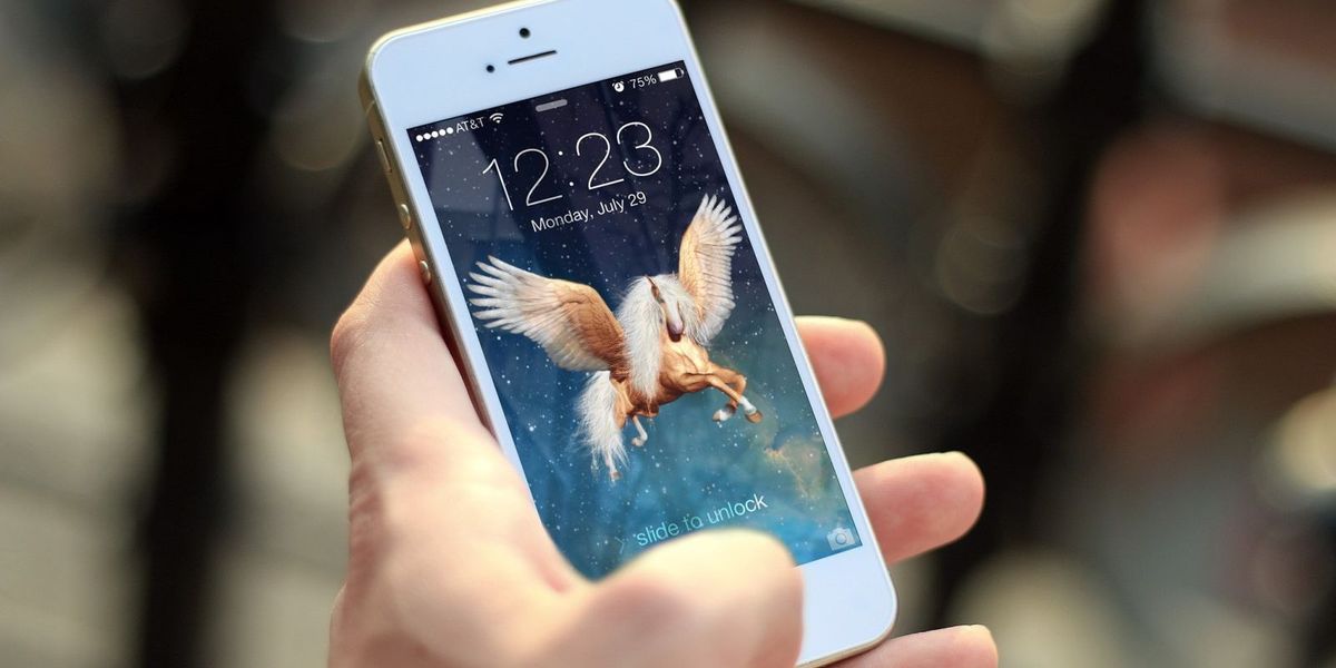 Pegasus-Spyware: Politiker, der Angriffen nachging, wurde selbst ausspioniert