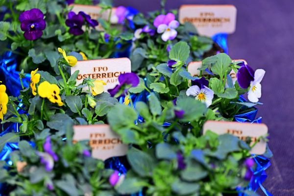 Erinnerungen-und-rechtsextreme-Einzelf-lle-