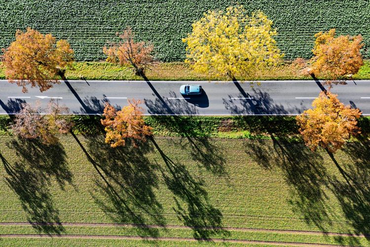 Luftaufnahme einer Straße bei Hakenberg, Nordostdeutschland, mit einem Auto, das entlangfährt. Bäume mit herbstlichem Laub säumen die Straße und werfen lange Schatten auf ein landwirtschaftliches Feld darunter.