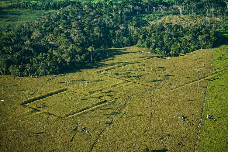 Amazonas, Siedlungen