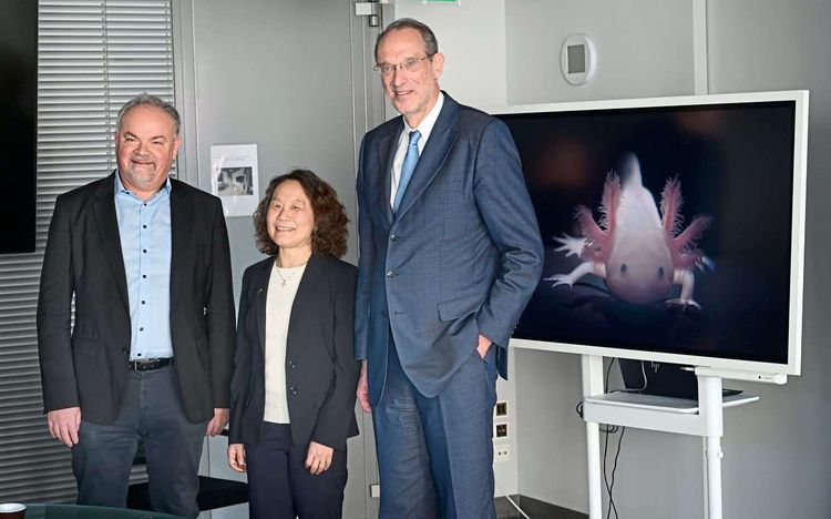 IMBA (Institut für Molekulare Biotechnologie), Jürgen Knoblich, Elly Tanaka, Heinz Faßmann, Axolotl.