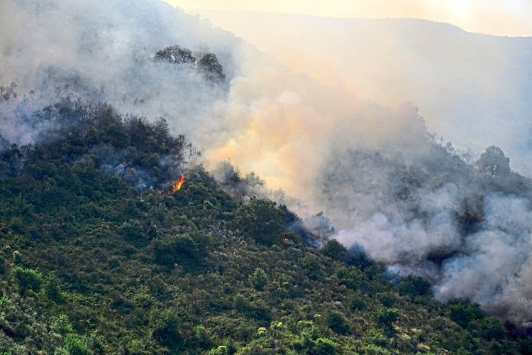 Waldbrand auf Korfu