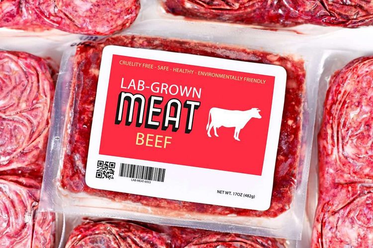 Mehrere Packungen mit eingeschweißtem Rindfleisch. Auf der Verpackung ist zu lesen: Lab Grown Meat Beef