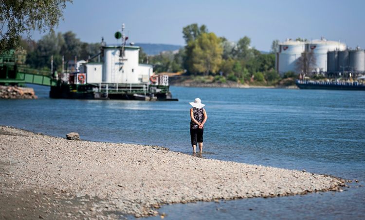 Eine Frau steht am Ufer der Donau und blickt auf eine Rollfähre bei Klosterneuburg. Im Hintergrund sind Bäume, Industrieanlagen und der niedrige Wasserstand der Donau zu sehen.