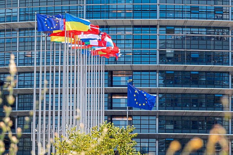 Flaggen vor dem EU Parlament