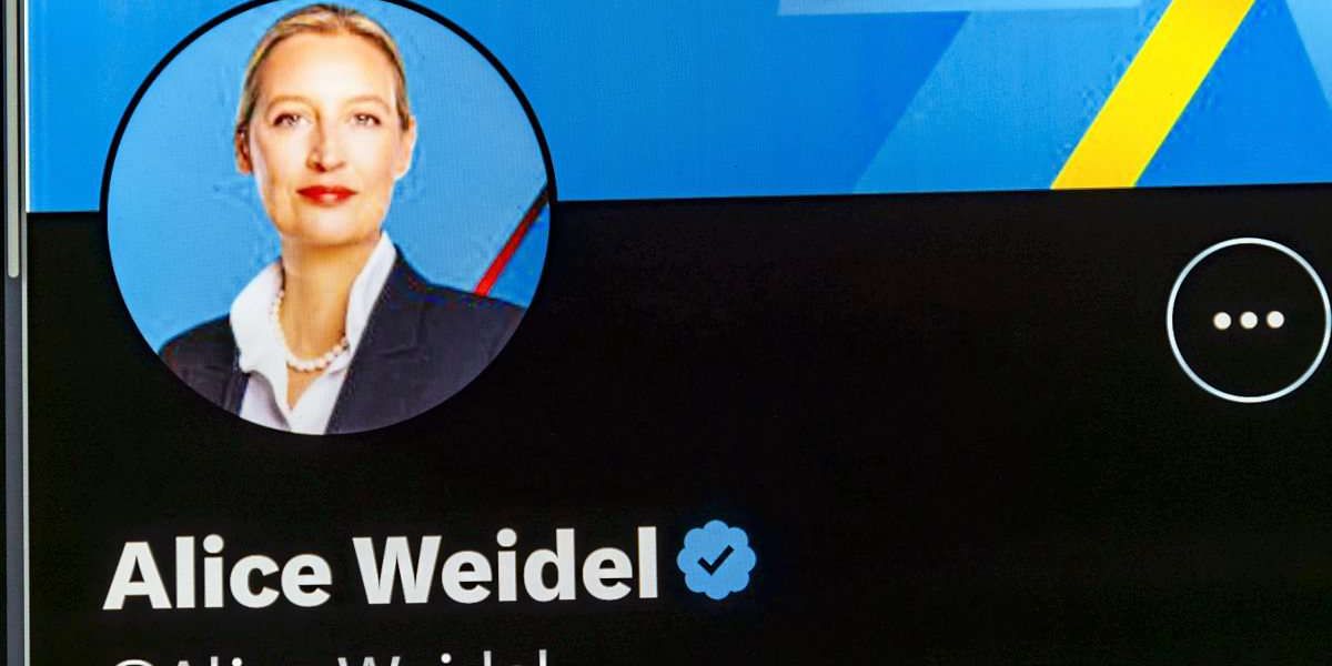 AfD vor den Wahlen quer durch Social Media algorithmisch bevorzugt